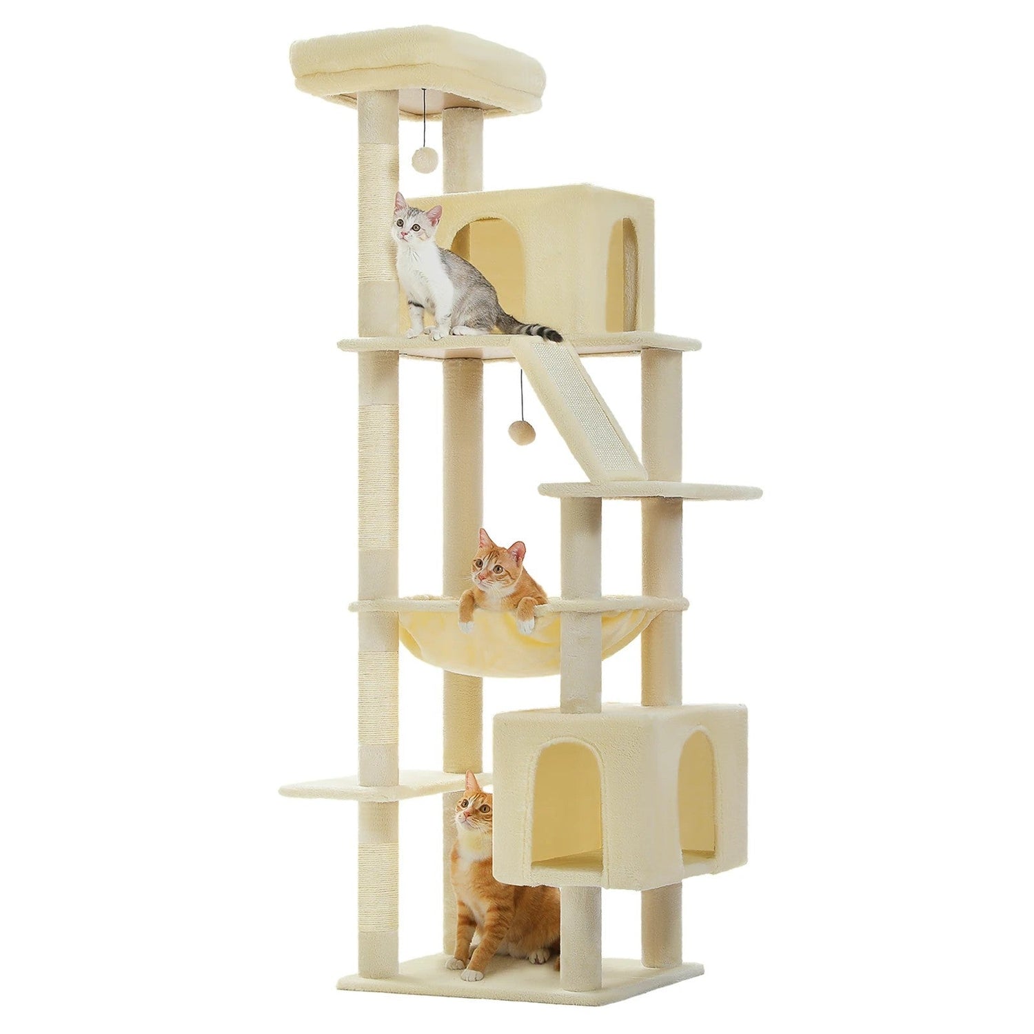 Pet Supplies